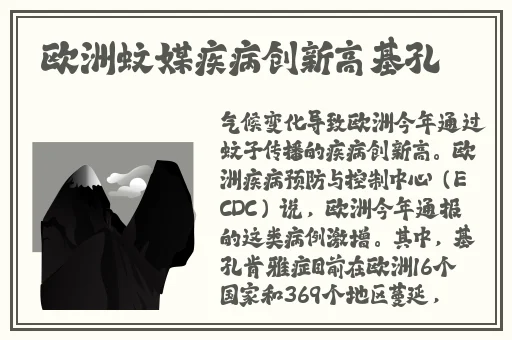 **支持安卓手机全部列表
